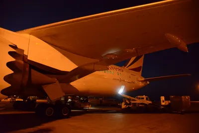 DSC_7443 (Large).JPG